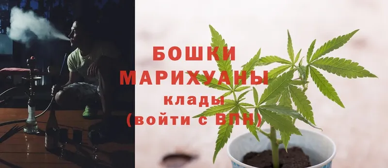 Шишки марихуана OG Kush  магазин продажи   Махачкала 